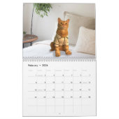 Kalender voor gecodeerde katten 2020 (Feb 2026)