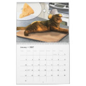 Kalender voor gecodeerde katten 2020 (Jan 2027)