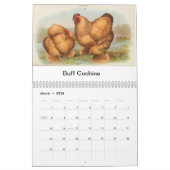 Kalender voor gevogelte (Mar 2026)