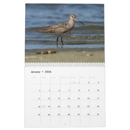 Kalender voor hoornvogels (Jan 2026)