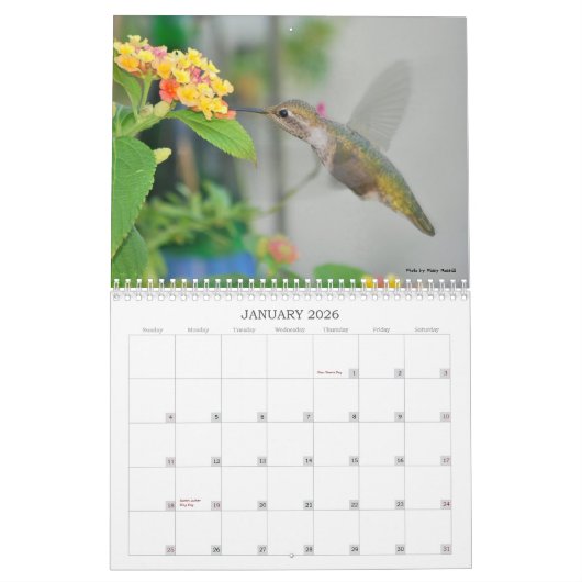 Kalender voor Hummingbird 2013 (Jan 2026)