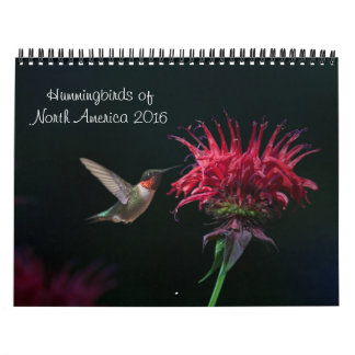 Kalender voor Hummingbird 2016