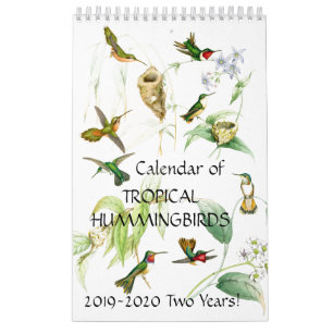Kalender voor Hummingbird Birds Flower Animal 2019