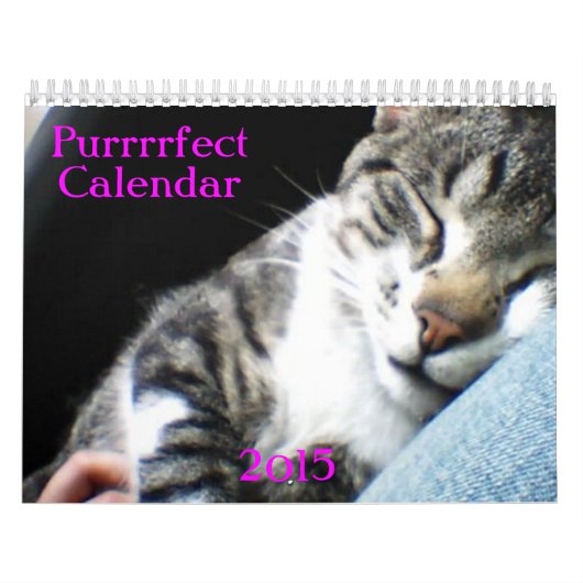 Kalender voor katten en kittens 2015 (Hoes)