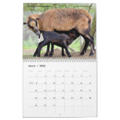 Kalender voor landbouwhuisdieren (Mar 2026)