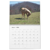 Kalender voor landelijke levenspaarden (Mar 2026)