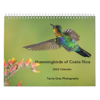 Kalender voor mensvogels van Costa Rica