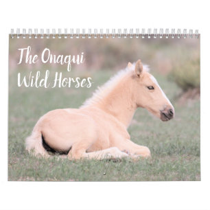 Kalender voor Onaqui Wild Horses