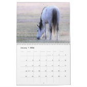 Kalender voor Onaqui Wild Horses (Jan 2026)
