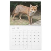 Kalender voor oxes 2016 (Mar 2027)