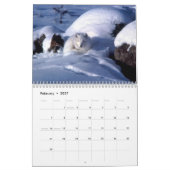 Kalender voor oxes 2016 (Feb 2027)