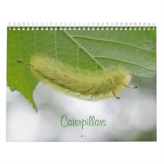 Kalender voor pijlers (Hoes)