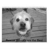 Kalender voor reddingsdieren (Hoes)