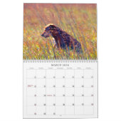 Kalender voor reddingsdieren (Mar 2026)