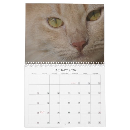 Kalender voor reddingsdieren (Jan 2026)