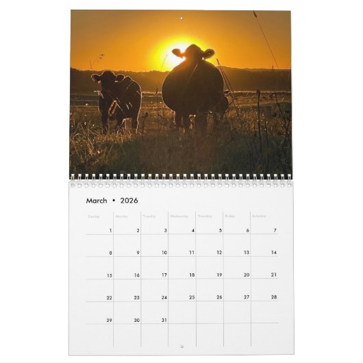 Kalender voor rundvee in 2024 (Mar 2026)