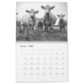 Kalender voor rundvee in 2024 (Jan 2026)