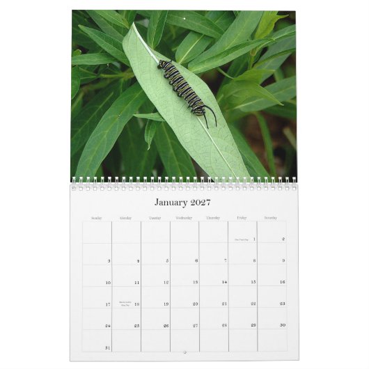 Kalender voor vlinder (Jan 2027)