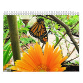 Kalender voor vlinder (Hoes)