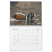Kalender voor vogels in Alaska (Feb 2026)