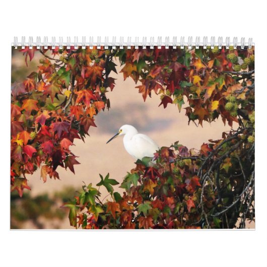 Kalender voor wilde dieren en vogels (Hoes)