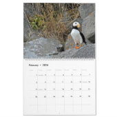 Kalender voor wilde dieren in Alaska (Feb 2026)