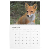 Kalender voor wilde dieren in Alaska (Jan 2026)