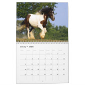 Kalender voor zigeunerpaarden (Jan 2026)