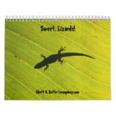 Kalender voor zoete lizards (Hoes)