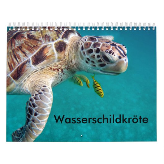 Kalender-Wasserschildkröten Kalender (Hoes)