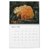 Kalender Weird paddenstoelen (Feb 2026)