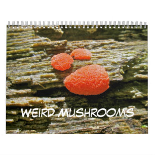 Kalender Weird paddenstoelen