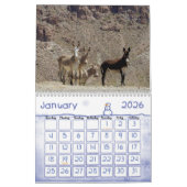 Kalender, Wilde Burros van het Zuidwesten van de w Kalender (Jan 2026)