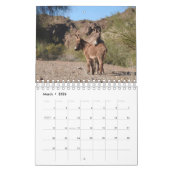Kalender, wilde dieren, wilde buren, ezels kalender (Mar 2026)