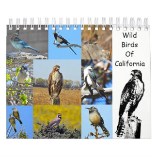 Kalender, wilde dieren, wilde vogels uit Californi Kalender