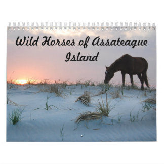 Kalender, wilde paarden van Assateague Island Kalender