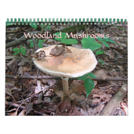 Kalender - Woodland Mushrooms