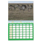 Kalender-Zebra Kalender (Mar 2026)