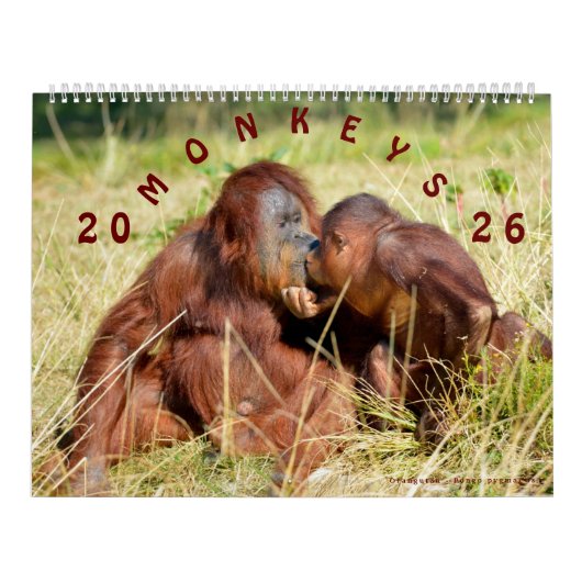 Kalenderapen 2023 kalender (Hoes)
