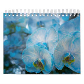 Kalenderbloemen Kalender (Hoes)