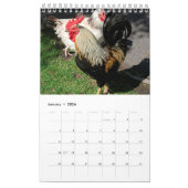 Kalenderjaar 2017 van het rooster kalender (Jan 2026)