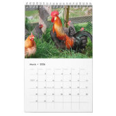 Kalenderjaar 2017 van het rooster kalender (Mar 2026)