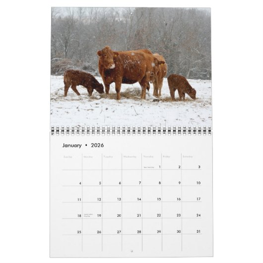Kalenderkoeien 2015 kalender (Jan 2026)