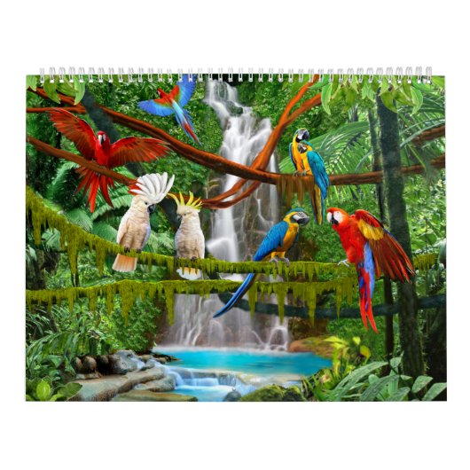 KALENDERVOGELS #1 KALENDER (Hoes)