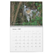 Kalendervogels Kalender (Jan 2027)