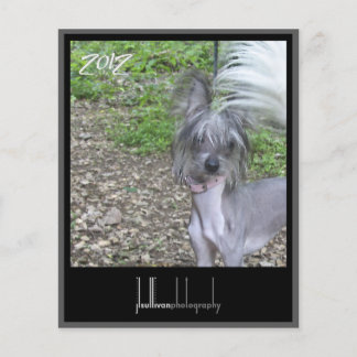 kalendervoordekking 2012