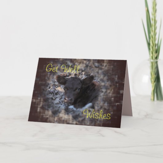 Kalf 5896 van Pinzgauer van Quincy - maak om het Kaart (Voorkant)