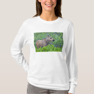 Kalf van een eland in de Many Glacier-vallei T-shirt