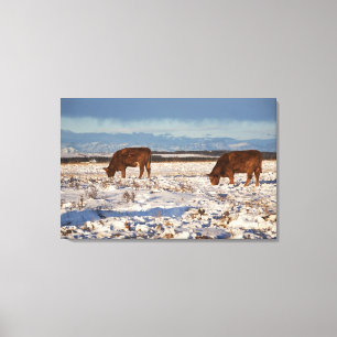 kalgary , alberta , canada 2 canvas afdruk
