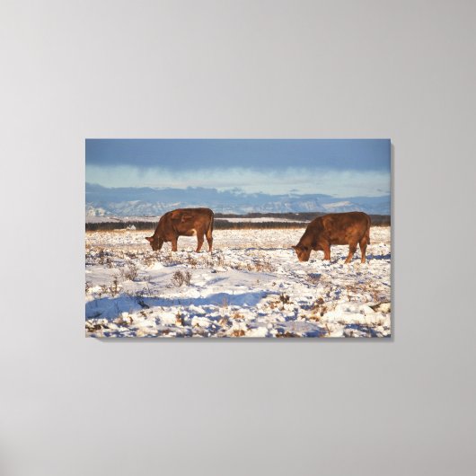 kalgary , alberta , canada 2 canvas afdruk (Voorkant)